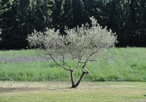 vac4 Le recap du Dimanche… et des vacances #75