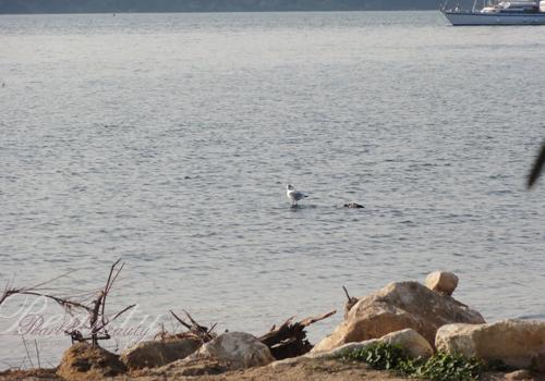 vac11 Le recap du Dimanche… et des vacances #75