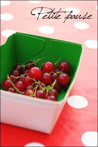 547874_410941465610074_1684315387_n Petite pause