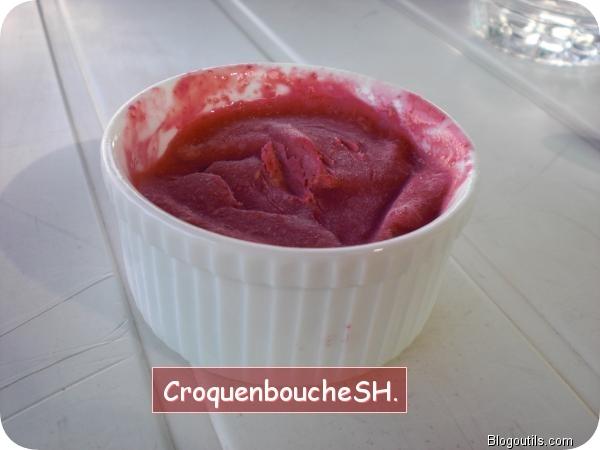 UN TOUR EN CUISINE (153) : YAOURTH GLACE AU MELON (POUR MOI AUX FRAMBOISES) Yaourts-glace-aux-framboises.jpg