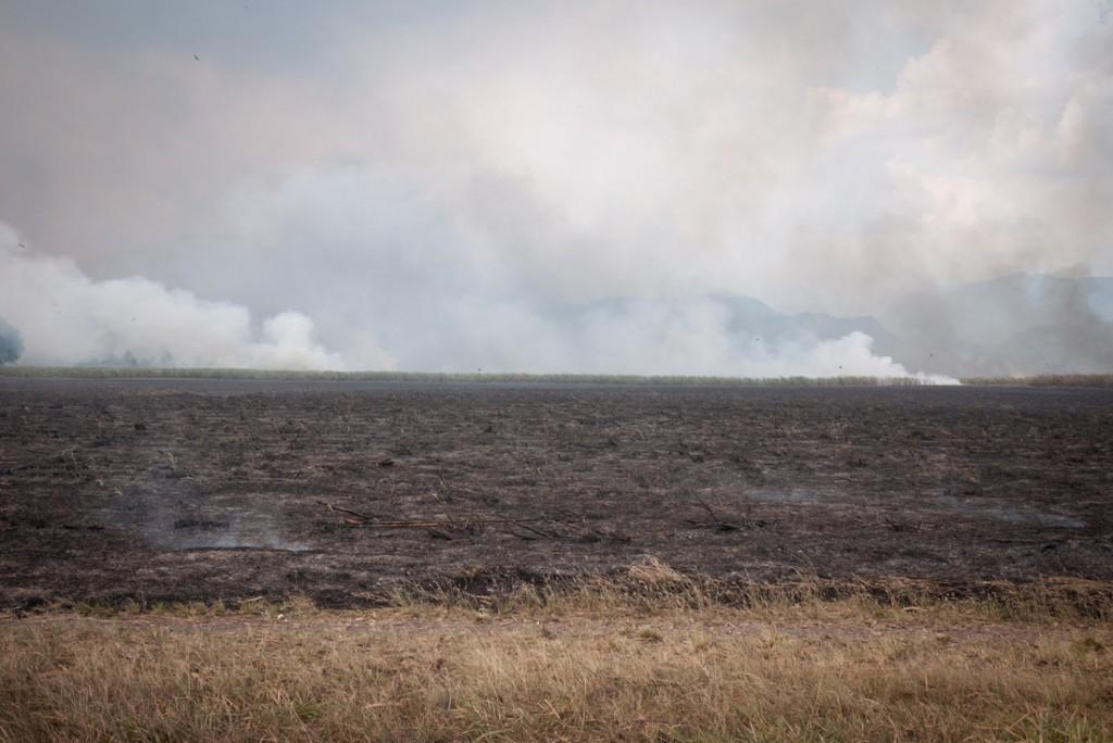 P1230262 Un périple autour du monde. Guerre de clans papous