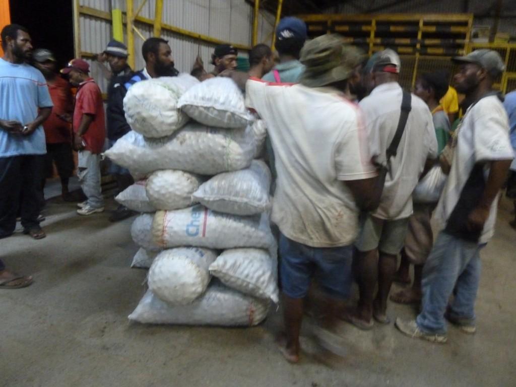 P1080220 Un périple autour du monde. Guerre de clans papous