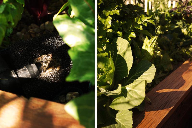 Un petit coin de paradis Un petit coin de paradis