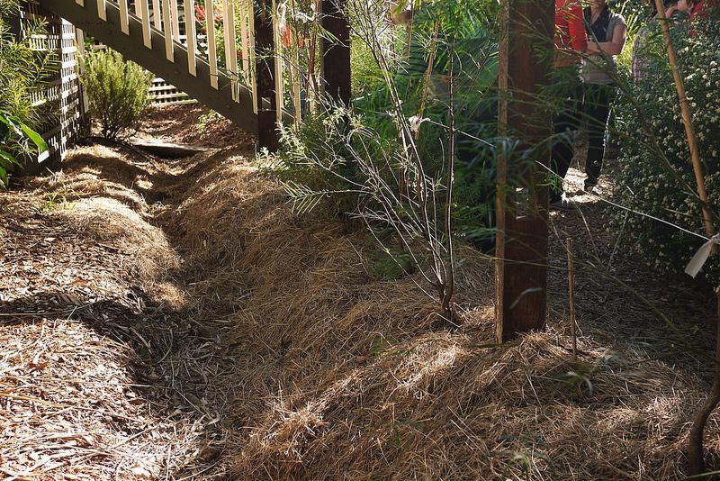 Un petit coin de paradis Un petit coin de paradis