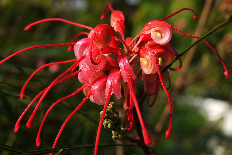 Un petit coin de paradis Un petit coin de paradis