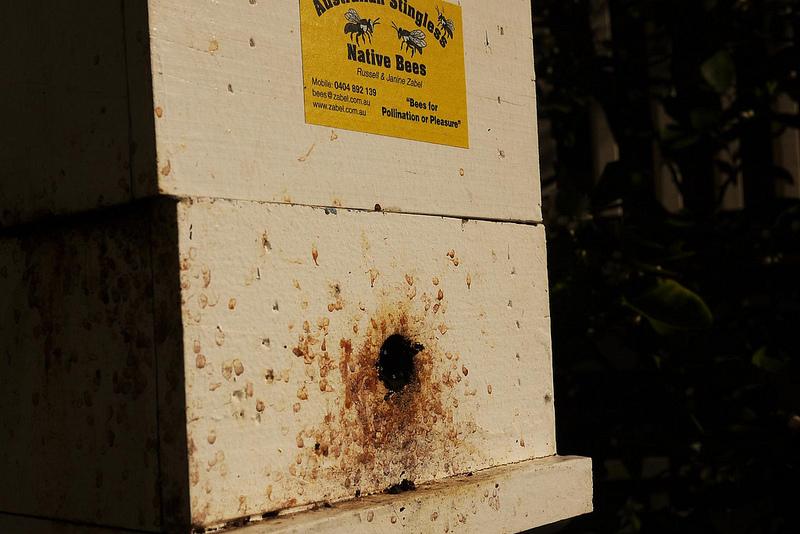 Un petit coin de paradis Un petit coin de paradis