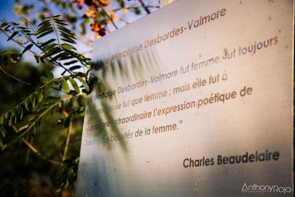 Reportage Photo - Venez passer une nuit sur un nuage... dans le Nuage ! Refuge périurbain du parc de l'Ermitage à Lormont ! 1 (44)