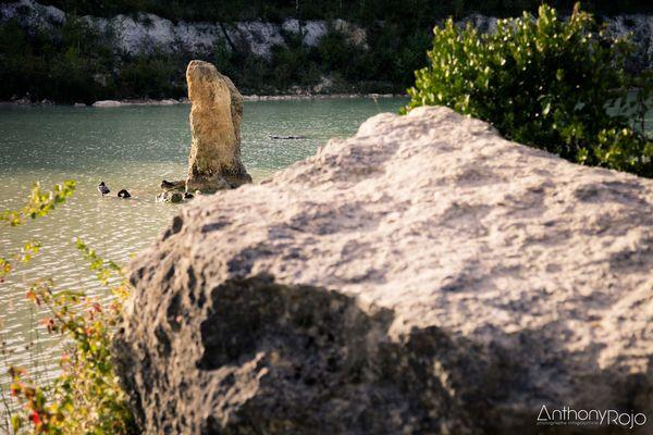Reportage Photo - Venez passer une nuit sur un nuage... dans le Nuage ! Refuge périurbain du parc de l'Ermitage à Lormont ! 1 (50)