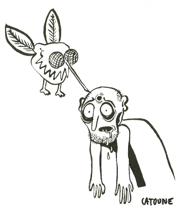 salles de shoot en france catoune