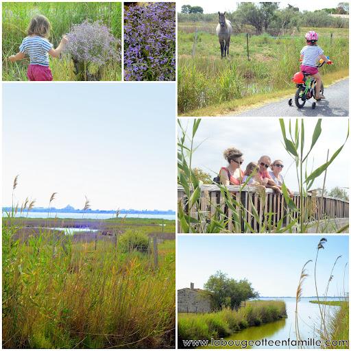 saladelle-etang-mauguio Le bilan de nos vacances : des idées de séjour en famille près de Montpellier