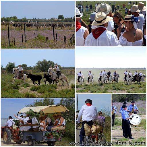 ferrade-taureau-gaze-fete-village-sud-mauguio Le bilan de nos vacances : des idées de séjour en famille près de Montpellier