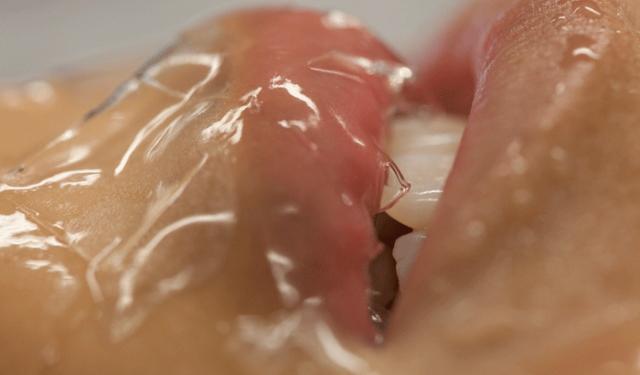 2 Lucy McRae dans les bras de Morphe