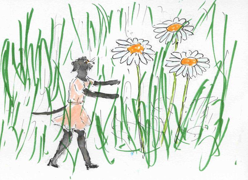 30) ras des pâquerettes 30) ras des pâquerettes