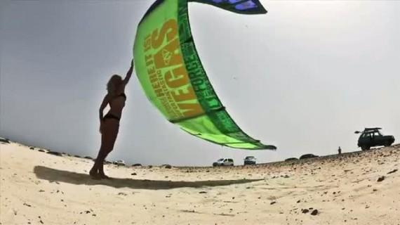 dirty panda Tom Court « Dirty Panda » by Tom Court !