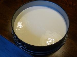 P1000663 Le cheesecake Millenium Falcon