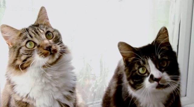 1 Metronomy – Hypnose