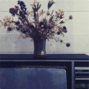 virginie_plauchut-la cloture (8) 4À8 / Édition 1 # / Virginie Plauchut