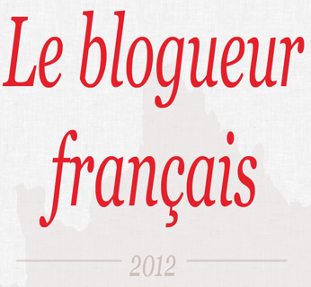 Capture d’écran 2012-09-14 à 16.20.33 Infographie : Le blogueur français en 2012