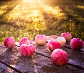 5 TRUCS À FAIRE AVEC LES POMMES 5 TRUCS À FAIRE AVEC LES POMMES
