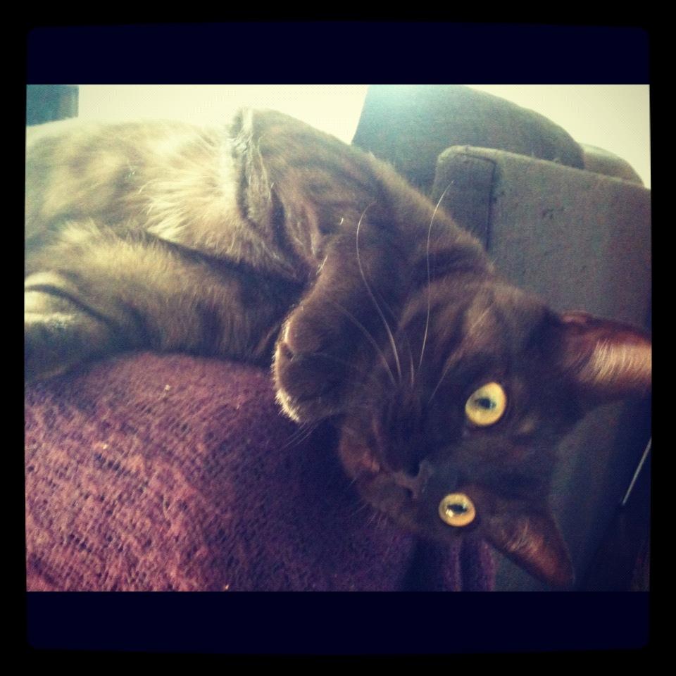 Mon petit fourbi ☆ Instagram #1 ☆ Mon petit fourbi ☆ Instagram #1 ☆