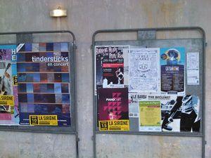 FREE REPORT... IMG02349-20120914-1859