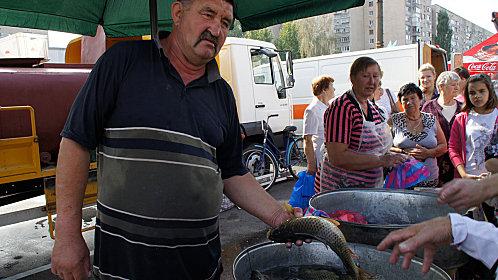 michel tabanou Brovary Brovary-marchand-de-poisson