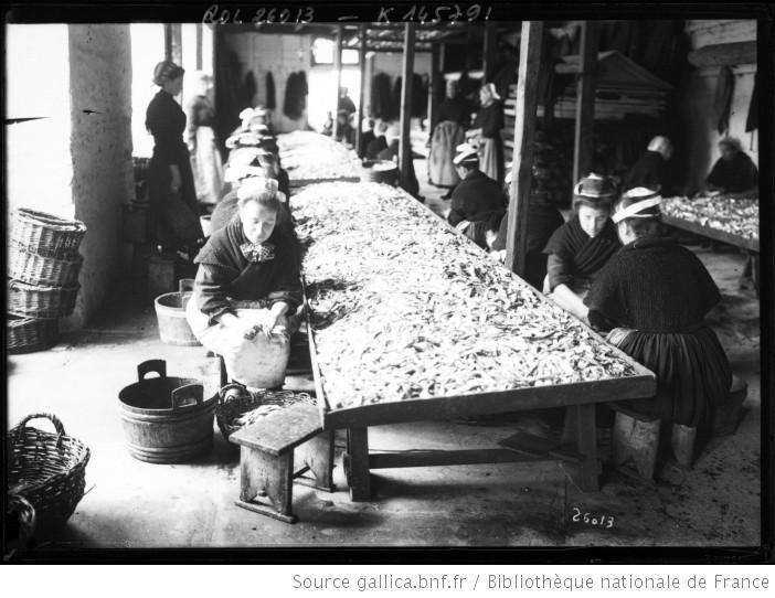 Les sardines de Concarneau: une histoire en images