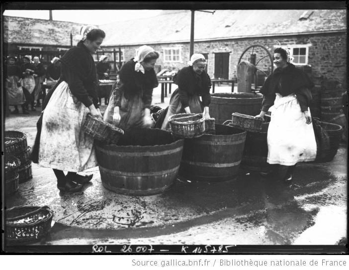 Les sardines de Concarneau: une histoire en images