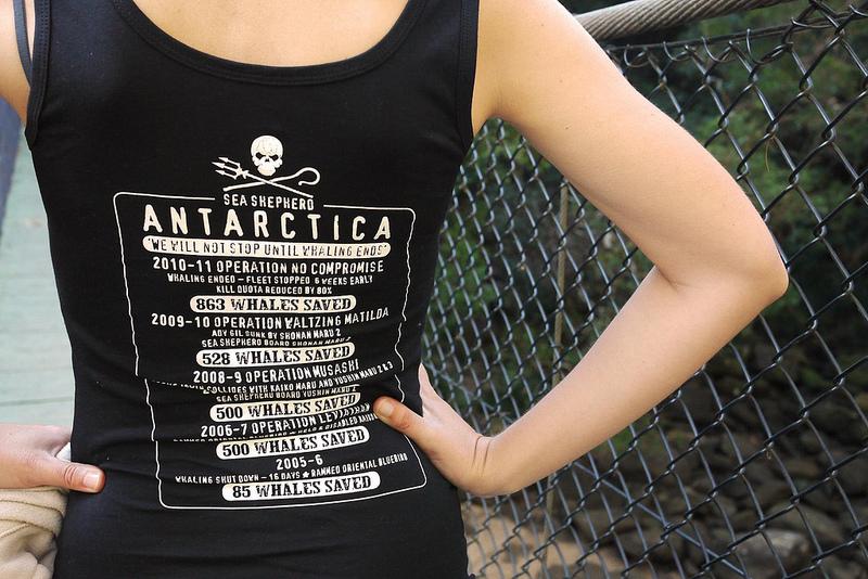 Pirates ! Pirates !