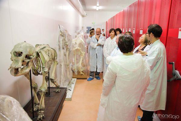 Reportage Photo - Bordeaux et ses portes ouvertes ! Journées Européennes du Patrimoine ! IMG_1229