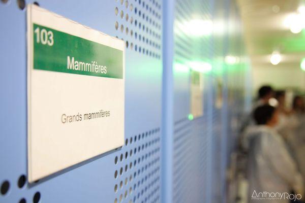 Reportage Photo - Bordeaux et ses portes ouvertes ! Journées Européennes du Patrimoine ! IMG_1191