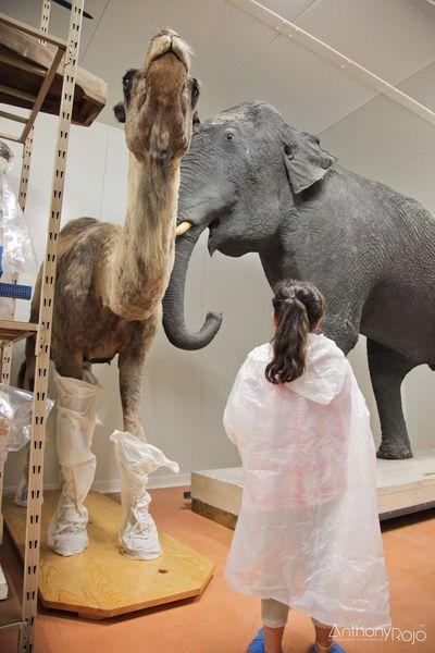 Reportage Photo - Bordeaux et ses portes ouvertes ! Journées Européennes du Patrimoine ! IMG_1242