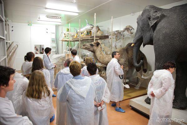 Reportage Photo - Bordeaux et ses portes ouvertes ! Journées Européennes du Patrimoine ! IMG_1244