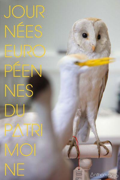 Reportage Photo - Bordeaux et ses portes ouvertes ! Journées Européennes du Patrimoine ! IMG_1187