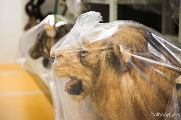 Reportage Photo - Bordeaux et ses portes ouvertes ! Journées Européennes du Patrimoine ! IMG_1190