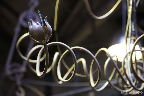 Reportage Photo - Bordeaux et ses portes ouvertes ! Journées Européennes du Patrimoine ! IMG_1166