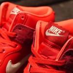 nike-wmns-dunk-red-leopard-2