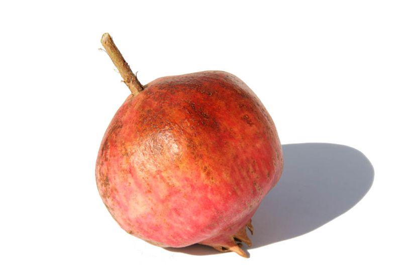 Gissarskii Rosovyi pomegranate
