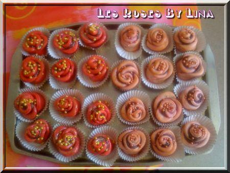 Mes roses aux dattes IMG_0471