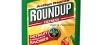 Pesticides : Le RoundUp Express est-il toxique ?