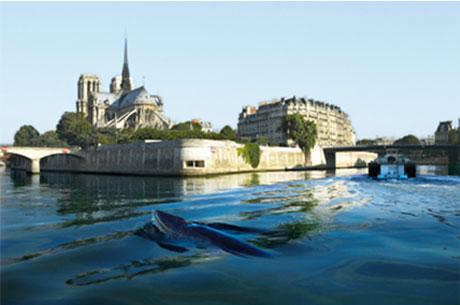 OCEKO FLASH SPECIAL s