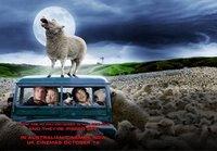 Black Sheep le film + Fondue maison Paris 巴黎自家吃火鍋