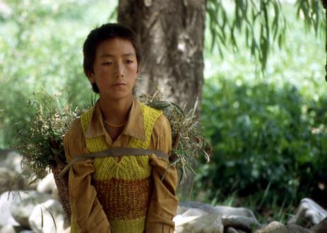 tibet-adolescent-impassible.1206693228.jpg