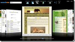 SearchMe : du Flash et de l’élégance image