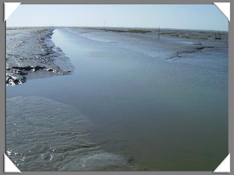 Nouvelles visqueuses : post-scriptum p32.1206813683.jpg