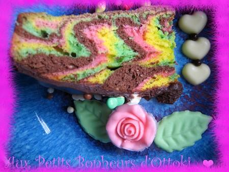 Marbré psychédélique IMG_5159_copie