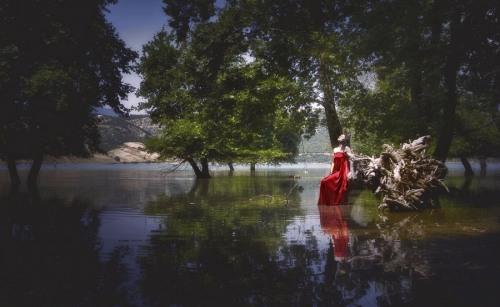 red_fairy_by_gdallis-d574cdl GREGORY DALLIS