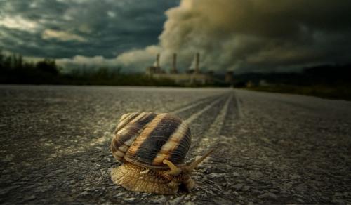 i__m_going_away_gdallis GREGORY DALLIS