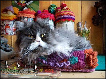 Une granny-valisette ! frou frou