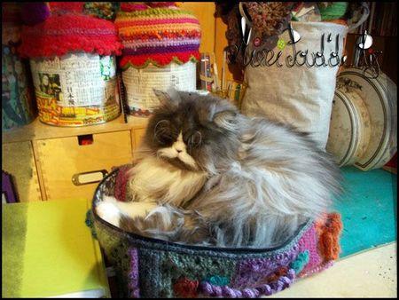 Une granny-valisette ! frou